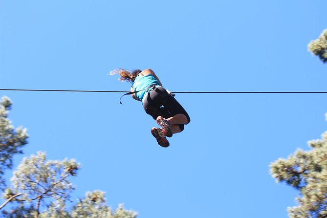 Adrenalin Forest Auckland - Who Will Enjoy Adrenalin Forest Auckland?