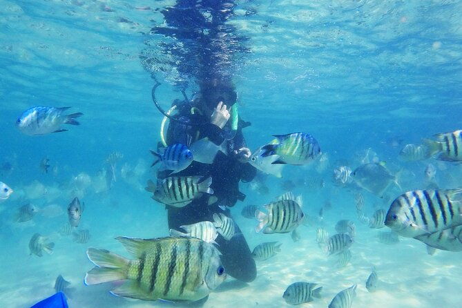 Adventure Moreton Island Scuba Dive Tour - Who Is This Tour Best For?