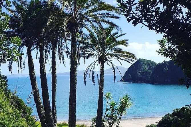 Afternoon Sail - Bay of Islands Vigilant Yacht Charters - What’s Not Included?