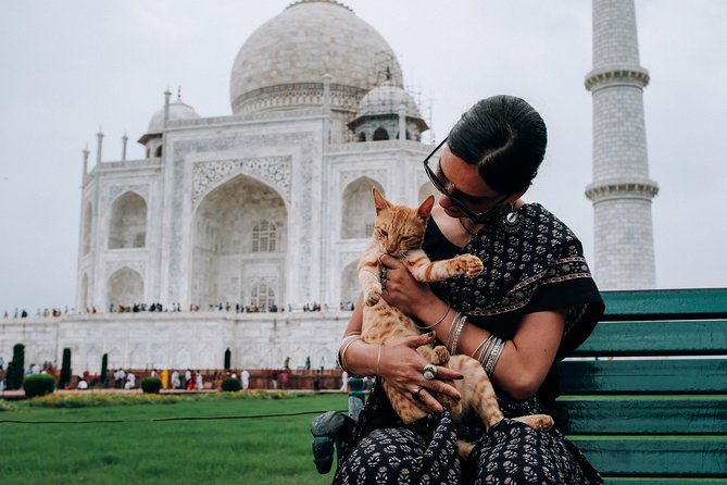 Agra Half-Day Tour of Taj Mahal and Agra Fort by Car - The Itinerary: What You Can Expect