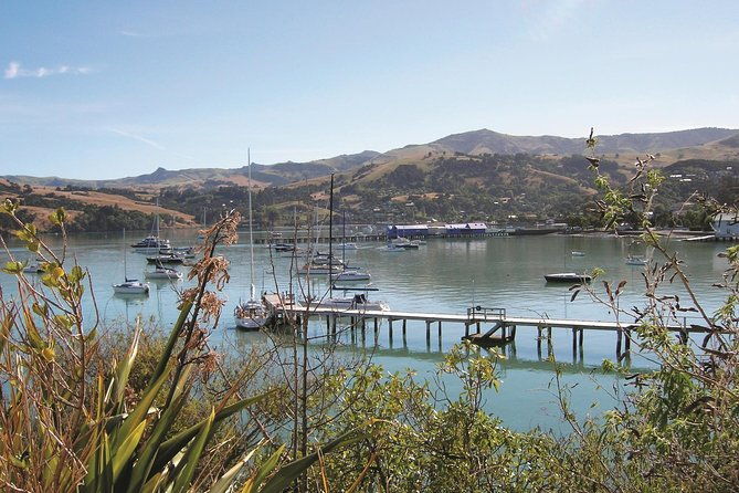 Akaroa Shore Excursion: Banks Peninsula, Christchurch City Tour and Sheep Farm Tour - Frequently Asked Questions