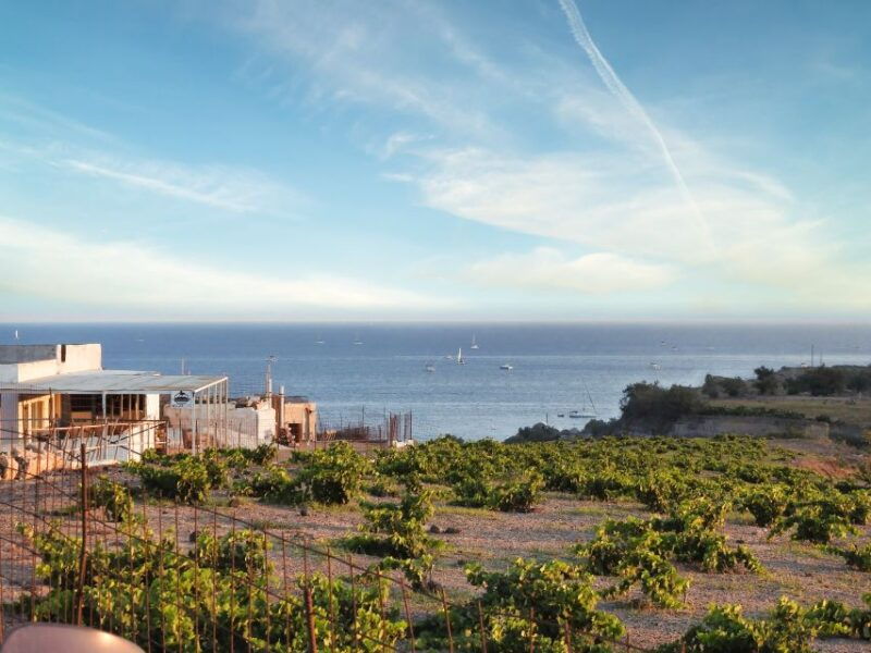 akrotiri-guided-horseback-riding-day-trip-to-a-beach