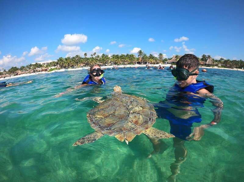 akumal-guided-snorkeling-with-sea-turtles