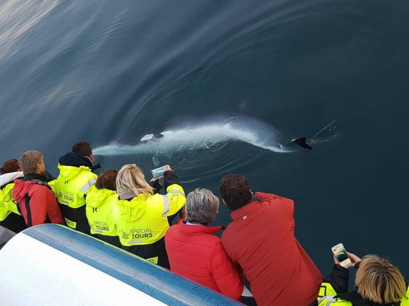 akureyri-whale-watching-tour-forest-lagoon-entrance