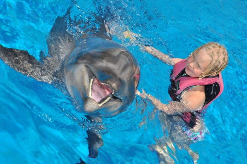 alanya-dolphin-and-seal-show-ticket-with-hotel-transfers