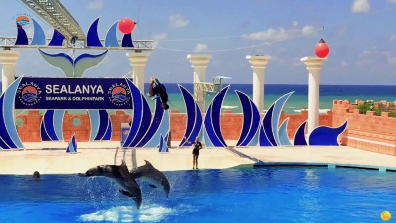 alanya-sealanya-dolphinpark-dolphin-show-tour