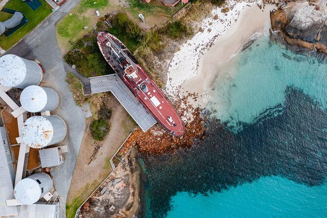 Albany's Whale Story - Authentic Experiences and Insights from Reviews