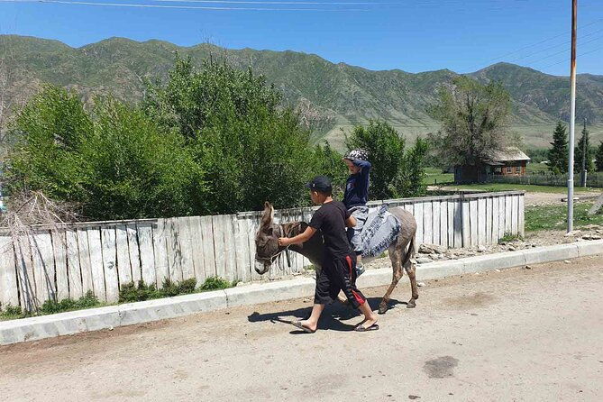 Almaty Region 3 Days Tour from Almaty - Transportation and Logistics: How the Experience Feels