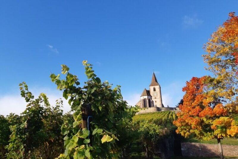 alsace-half-day-wine-tour-from-colmar-2