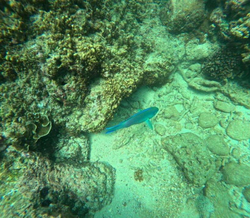 angel-rock-snorkeling-private-trip