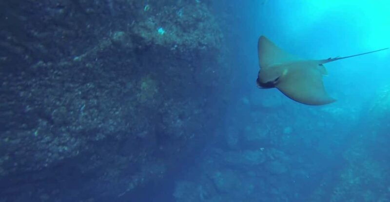 angra-do-heroismo-snorkeling-tour-by-boat