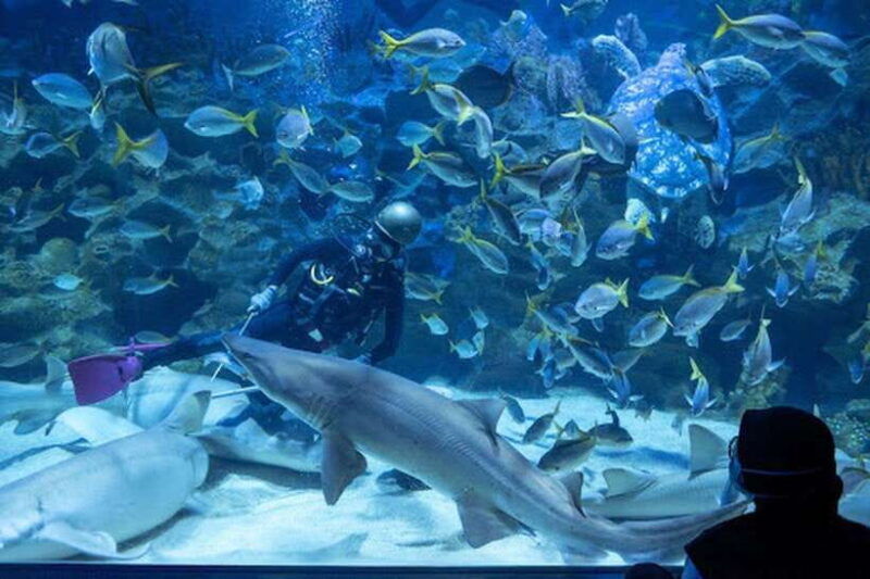 aquarium-klcc-kl-tower-trx-and-pnb-118-tour