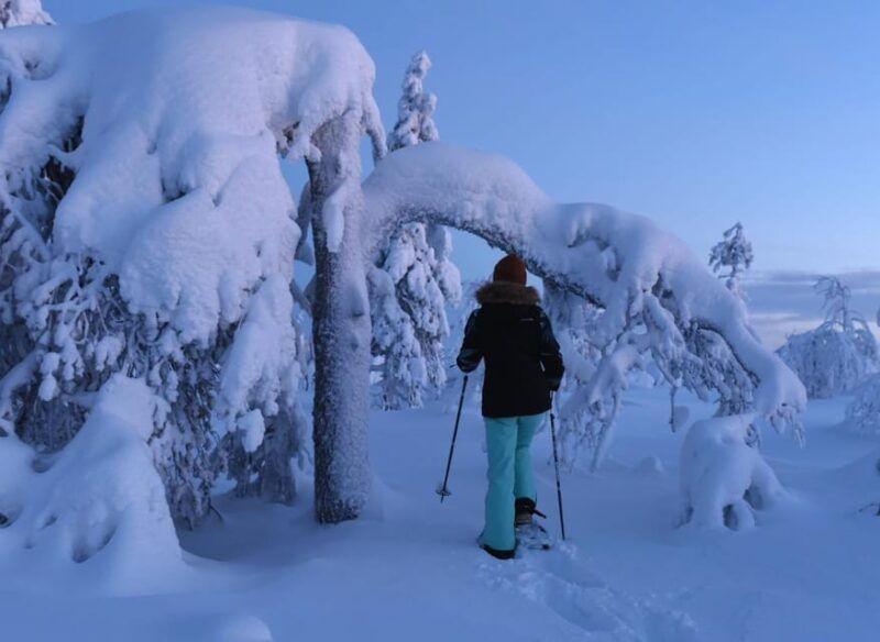 arctic-reindeer-farm-experience-with-snowshoeing-in-the-wild
