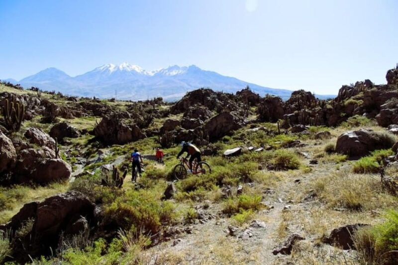 arequipa-3-hour-mountain-bike-tour