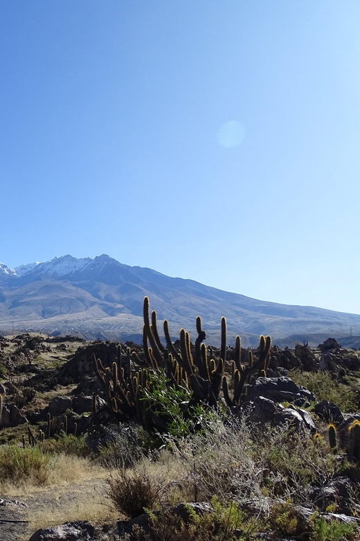 arequipa-the-rocks-park-and-chilina-valley-bike-tour