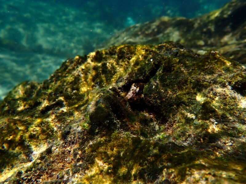 arrabida-marine-reserve-kayaking-snorkeling-tour