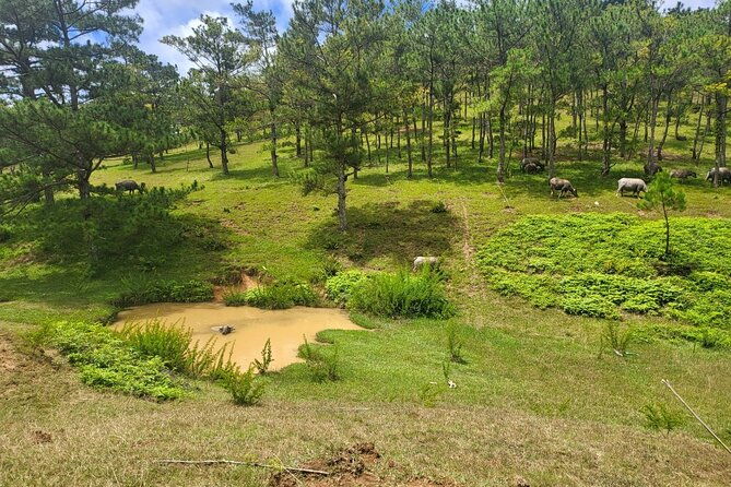 ATV Tour In The Dalat Mountains - FAQs