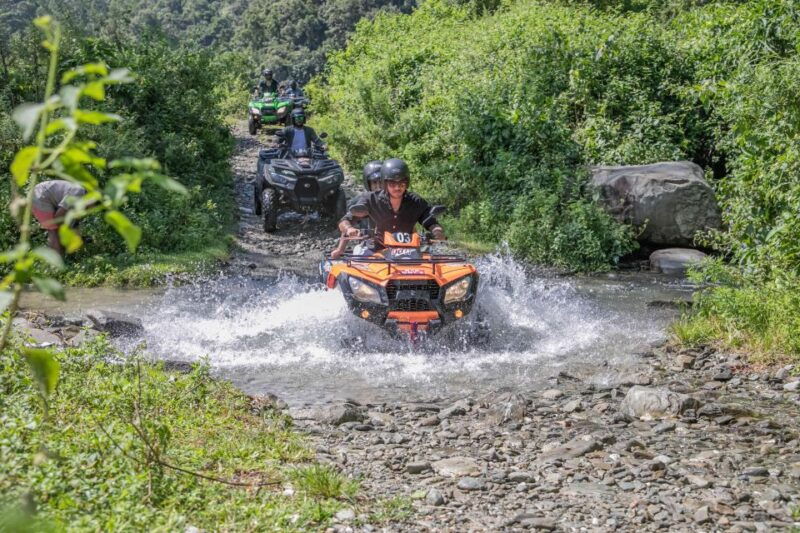atv-tours-rev-up-your-adventure