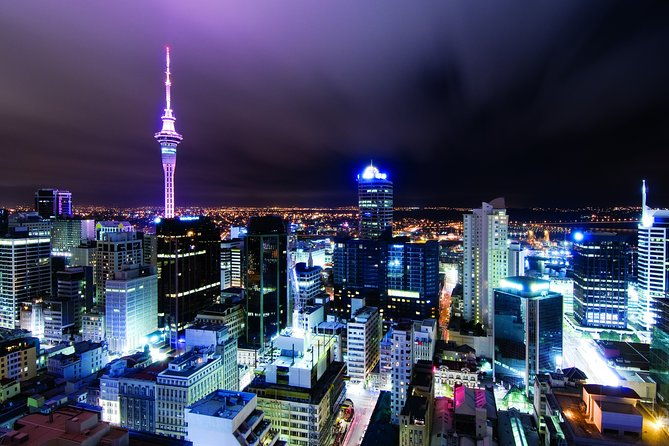 Auckland Airport Transfers: Auckland Airport AKL to Auckland in Luxury Van - What Travelers Can Expect