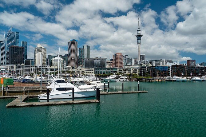 Auckland City Of Sails Half Day Tour - Authentic Insights from Past Travelers