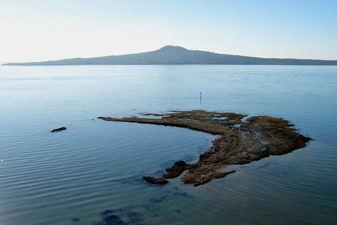 Auckland Coastal Discovery - Private Tour Incl. Wine Tasting - Why This Tour Is a Great Choice