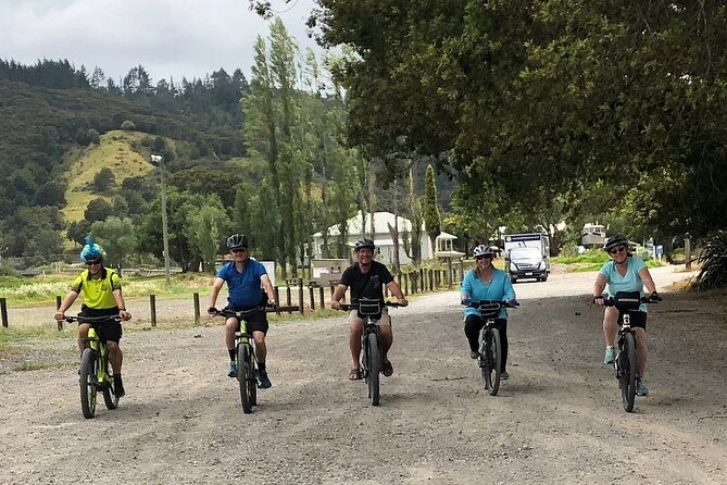 Auckland Half Day E-Bike Excursion - The Experience and Logistics