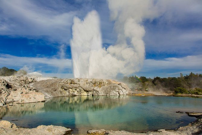 Auckland to Rotorua Private Tour - The Experience of Traveling in Style and Comfort