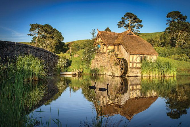 Auckland to Rotorua via Hobbiton Movie Set Tour - One Way - Practical Details and Considerations