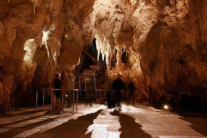 Auckland to Waitomo Caves Private Tour - The Benefits of a Private Tour