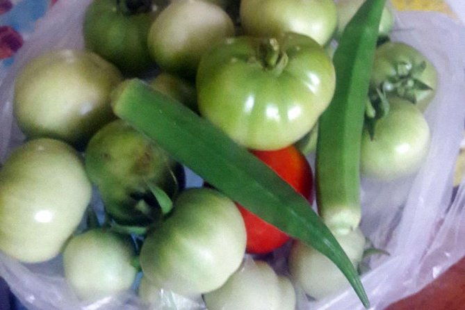 Authentic South Indian Cooking Class and Vegetarian Meal with a Local in Chennai - The Sum Up
