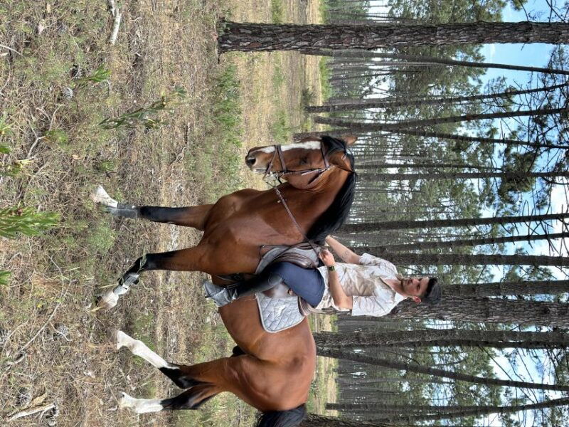 aveiro-horse-riding-experience-with-instructor