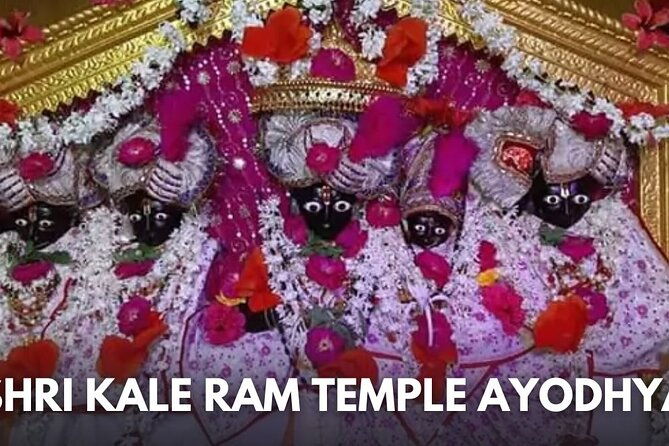 Ayodhya tour in one day - Private & Guided tour - Who Will Benefit Most?