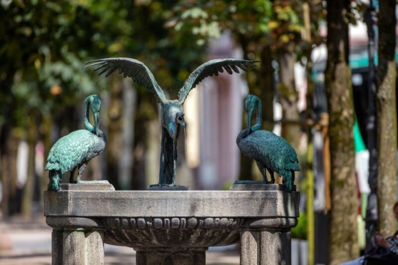 baden-baden-history-and-thermal-water-guided-walking-tour