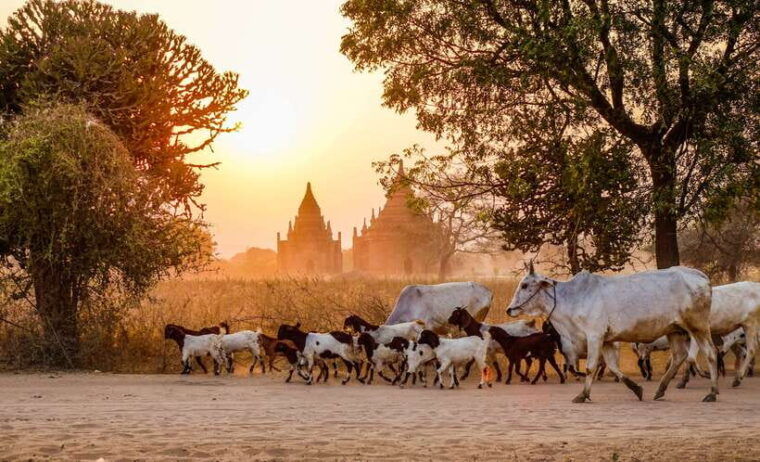 bagan-ancient-temples-private-tour
