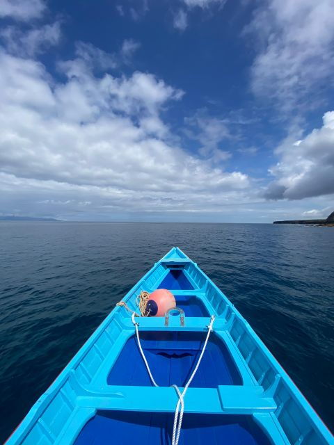 baleen-memory-unforgettable-ride-in-the-waters-of-pico