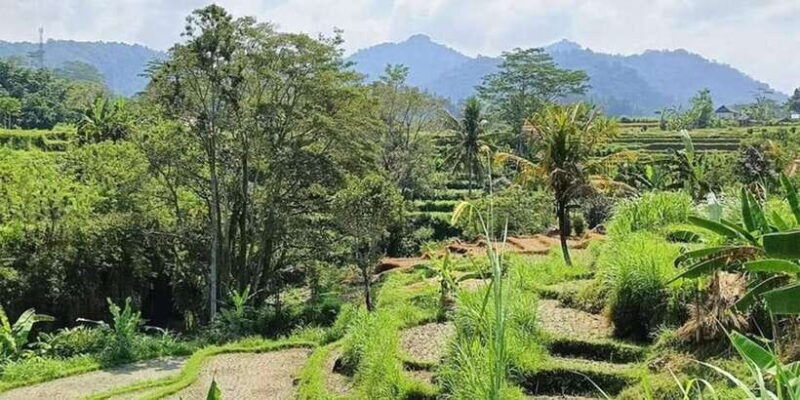 bali-besakih-temple-and-sidemen-tour