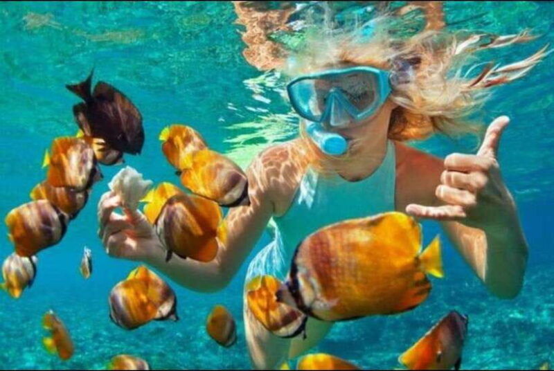 bali-blue-lagoon-and-tanjung-jepun-snorkeling-trip