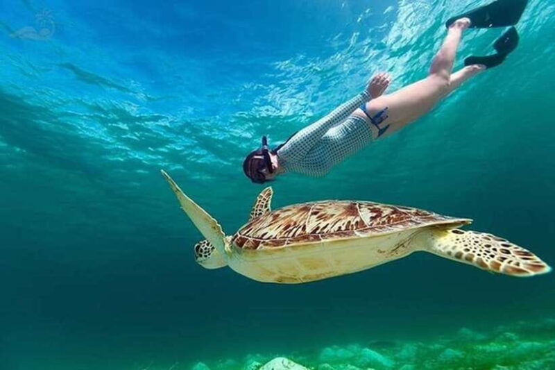 bali-blue-lagoon-snorkeling-tour-with-ayung-river-rafting