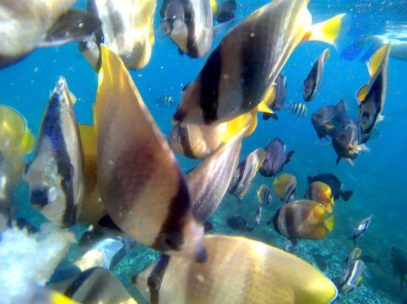 bali-blue-lagoon-snorkeling-waterfall-tour