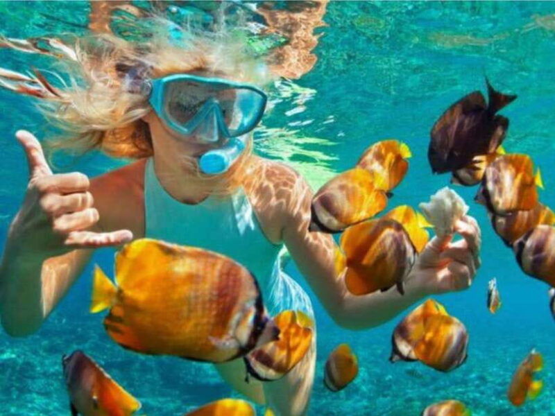 bali-blue-lagoon-tanjung-jepun-snorkeling-lunch