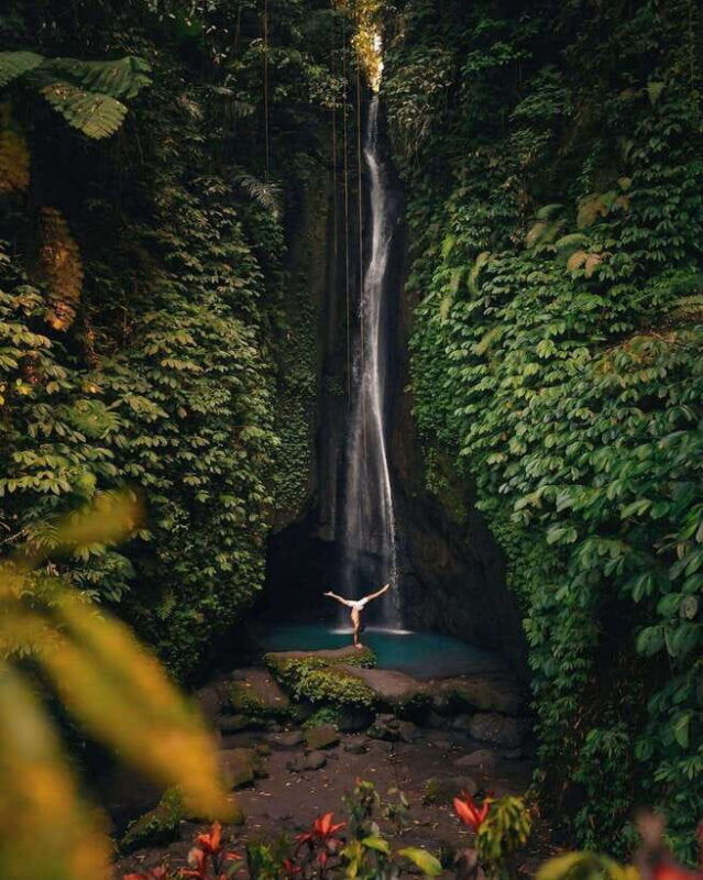 bali-discover-jungle-waterfalls-and-rice-terraces