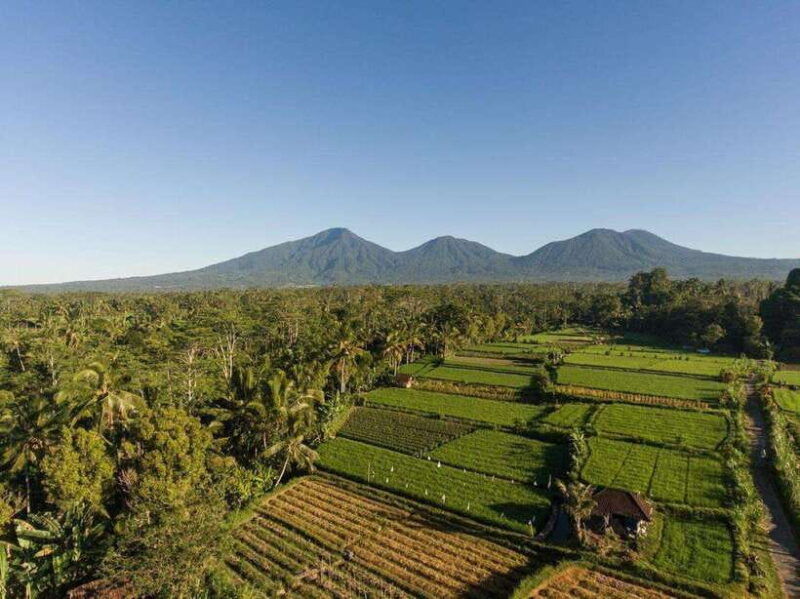 bali-experience-dance-purification-culinary-journey