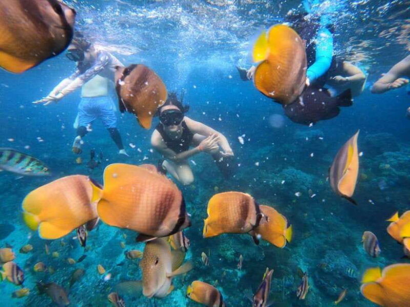 bali-full-day-trip-fishing-snorkelingeat-in-candidasa