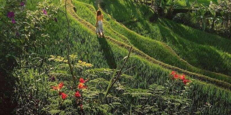 bali-highlight-of-ubud-culture-temple-and-batur-volcano
