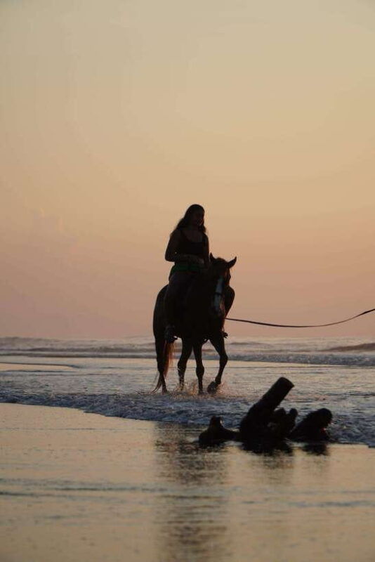 bali-horse-riding-on-the-beach-guide-tour