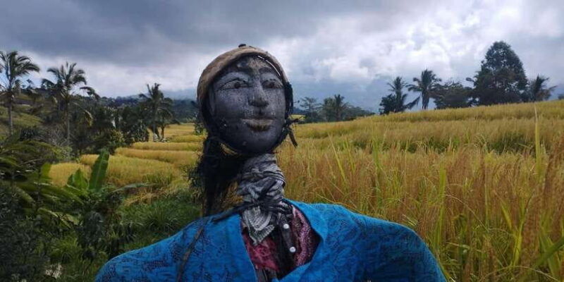 bali-jatiluwih-full-day-e-bike-and-trekking-tour