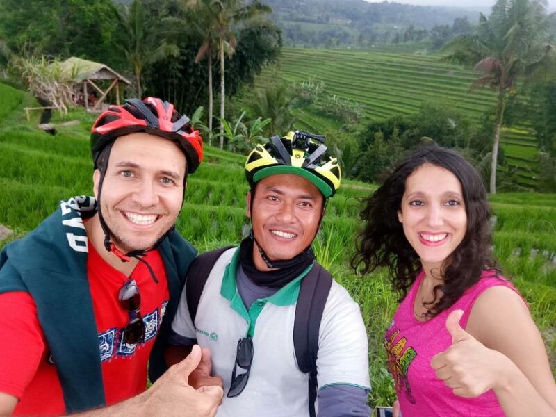 bali-jatiluwih-rice-terraces-1-hour-electric-bike-tour