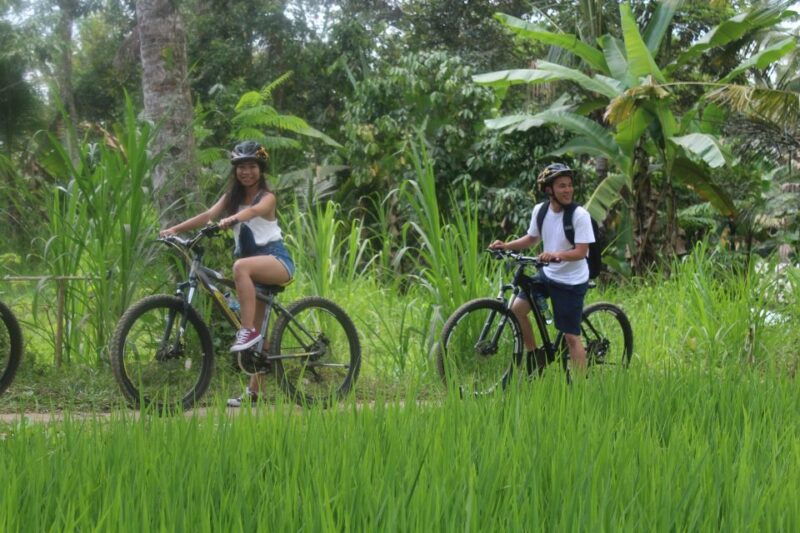 bali-kintamani-downhill-bike-tour-local-culture-insights