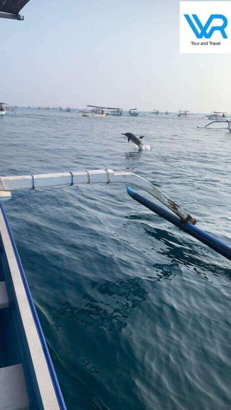 bali-lovina-dolphin-swim-snorkeling-2-destination-stop