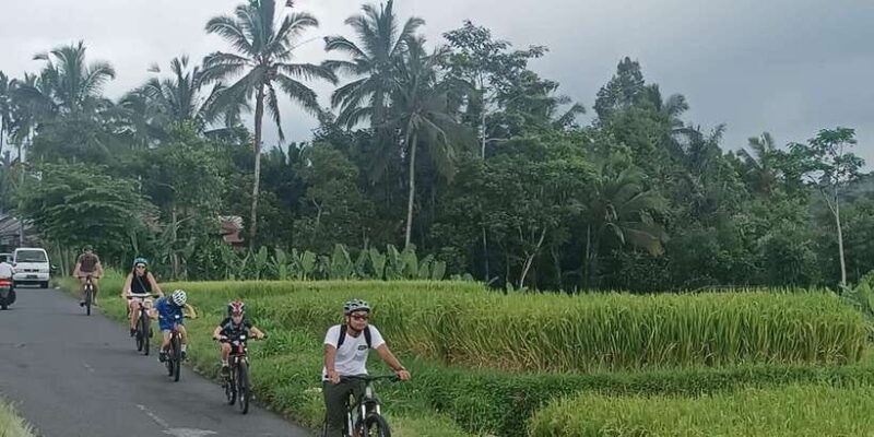 bali-natural-downhill-cycling-tour-and-visit-batur-volcano